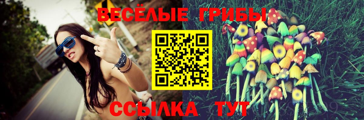 Галлюциногенные грибы мухоморы  Галлюциногенные грибы GOLDEN TEACHER  Вход с VPN  Холмск 